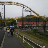1000016441