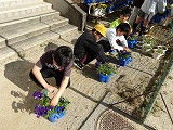 IMGP0433