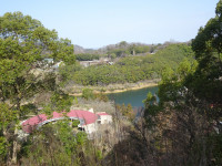 DSC06739