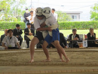 IMG_4368