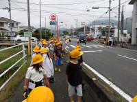 IMGP0534