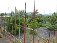 IMGP1123