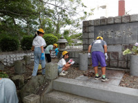 IMGP0590